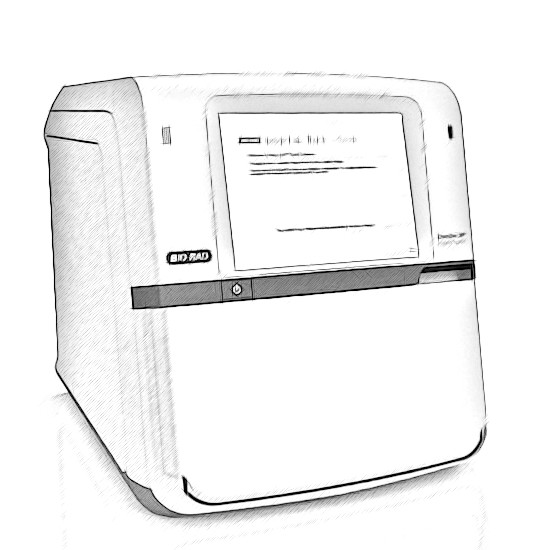 Bio-Rad ChemiDoc Western Blot System