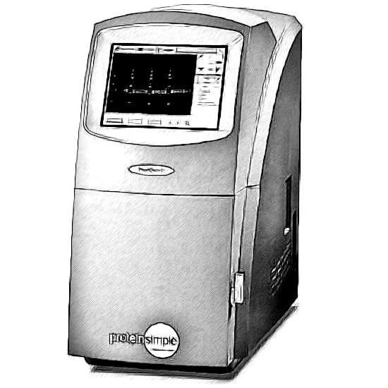 ProteinSimple FluorChem Western Blot System