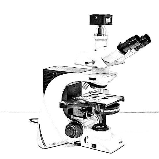 Leica DM2500 Microscope