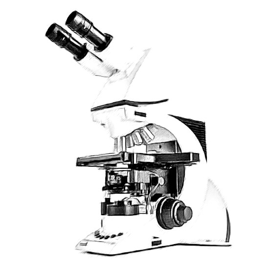 Leica DM3000 Microscope