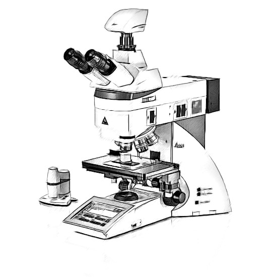 Leica DM4 Microscope
