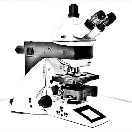 Leica DM5500 Microscope