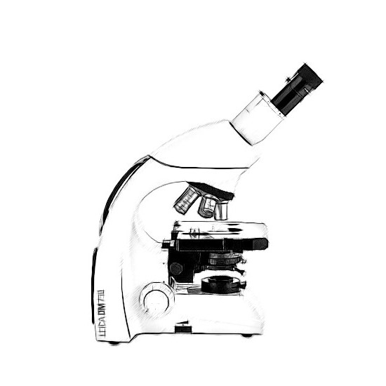 Leica DM750 Microscope