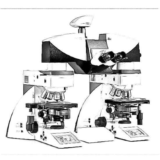 Leica FS4000 Microscope