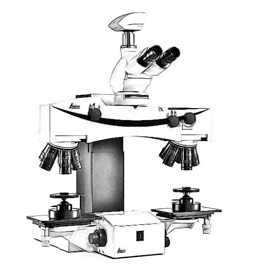 Leica FS Microscope