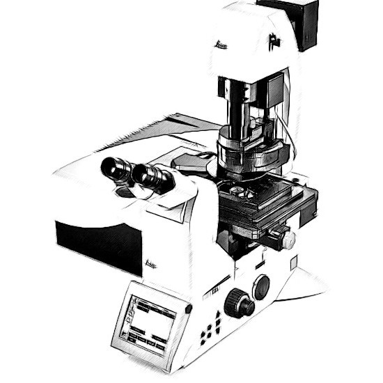 Leica SP8 Microscope