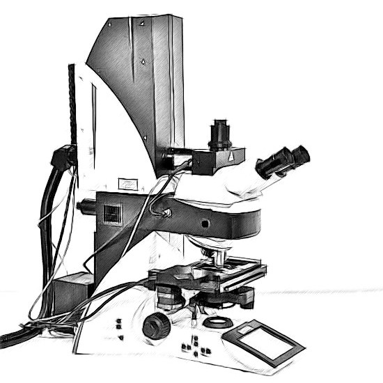 Leica TCS SP Microscope