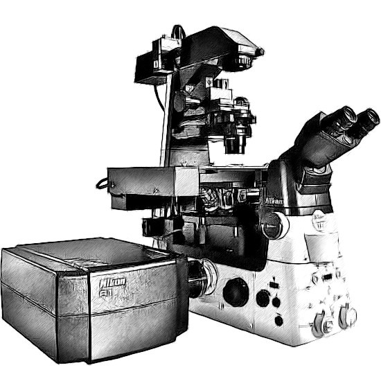 Nikon A1 HD25 Microscope