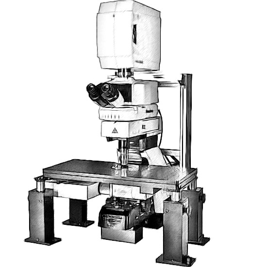 Nikon A1 MP+ Microscope