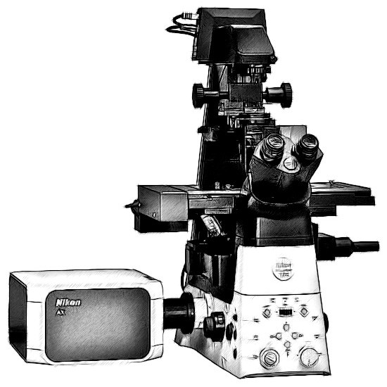 Nikon AX Microscope