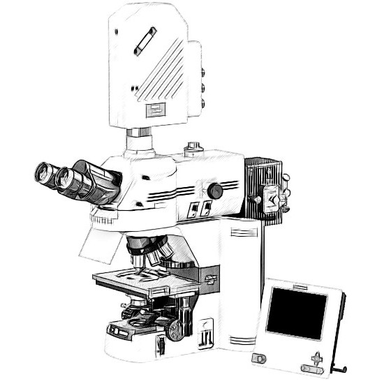 Nikon C1+ Microscope