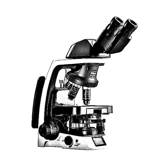 Nikon Ei Microscope