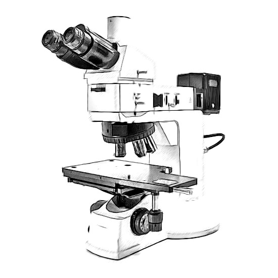 Nikon L150 Microscope
