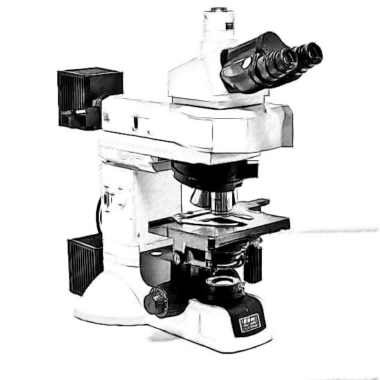 Nikon LV100 Microscope