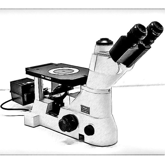 Nikon MA100 Microscope