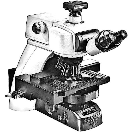 Nikon Ni Microscope