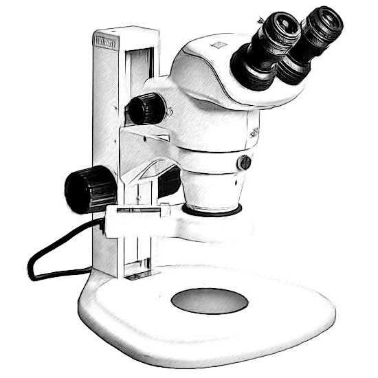 Nikon SMZ 745 Microscope