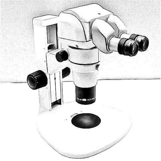 Nikon SMZ 800 Microscope