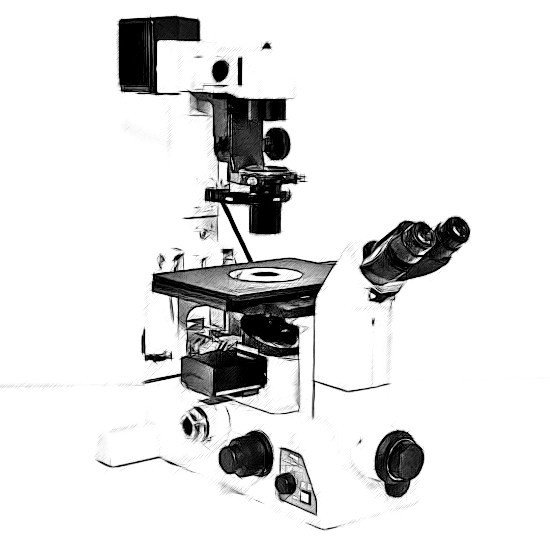 Nikon TE300 Microscope