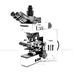 Olympus BX50 Microscope
