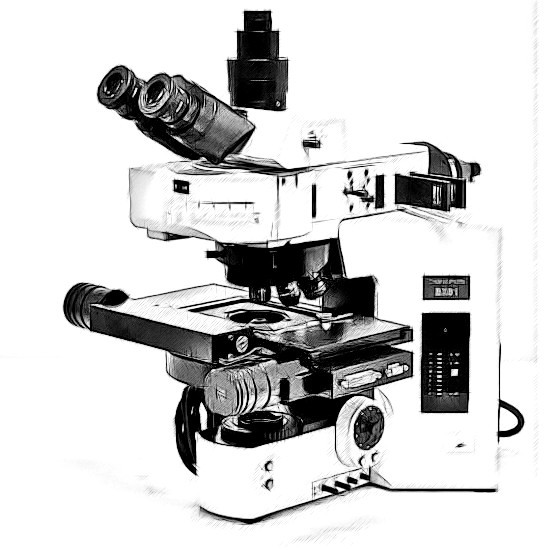 Olympus BX61 Microscope