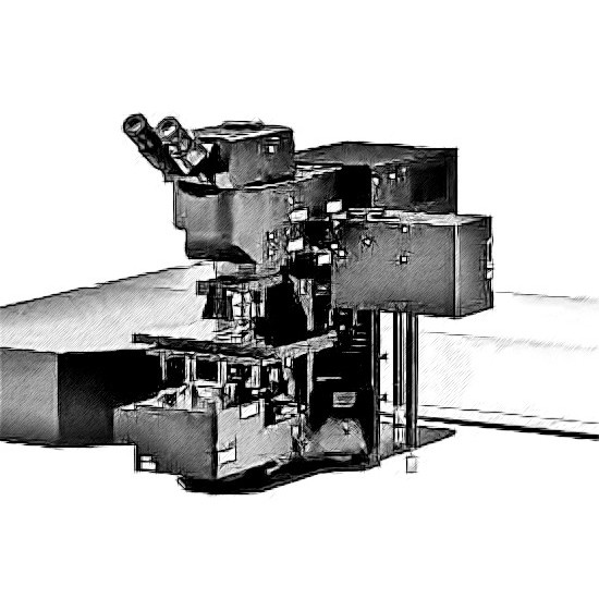 Olympus FVMPE-RS Microscope