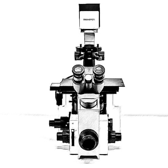 Olympus IX70 Microscope