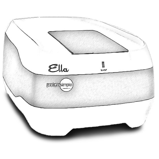 ProteinSimple Ella Western Blot System