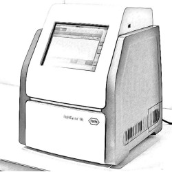 Roche LightCycler 96 PCR