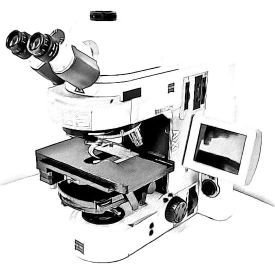 Zeiss Axio Imager Microscope