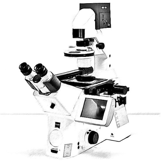 Zeiss Axio Observer Microscope