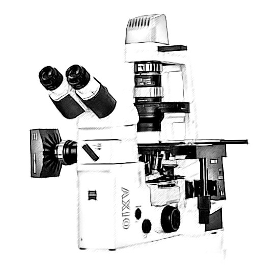 Zeiss Axio Vert Microscope