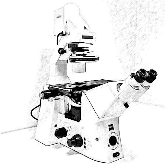 Zeiss Axiovert 200 Microscope