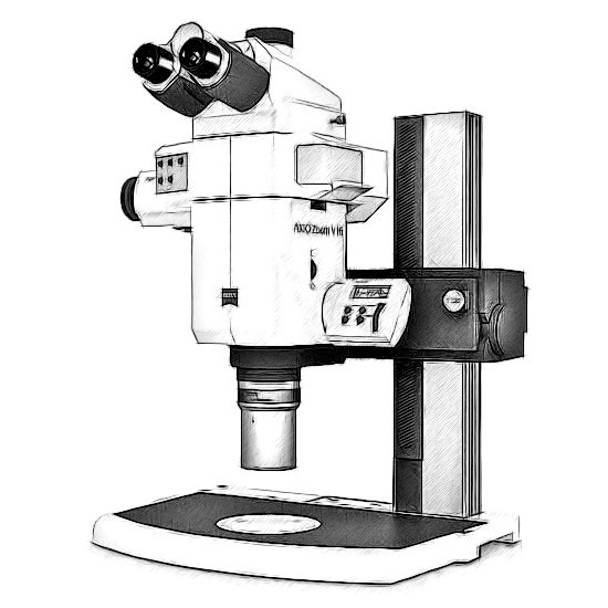 Zeiss Axio Zoom Microscope