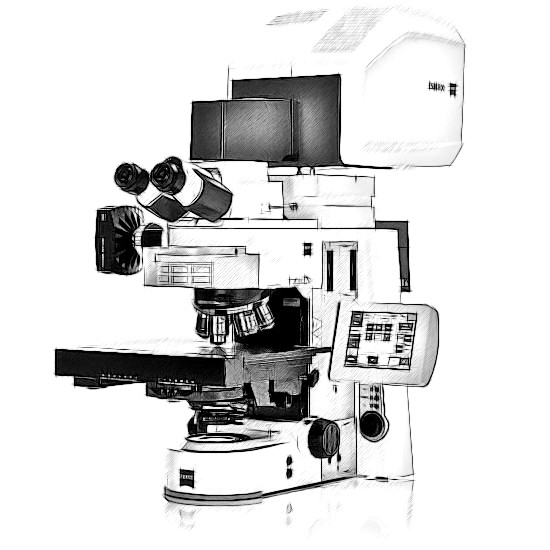 Zeiss LSM 800 Microscope
