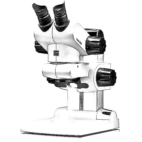 Zeiss Stemi Microscope
